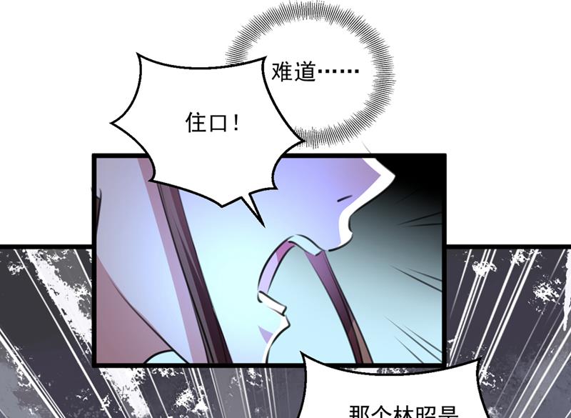 林昭不是我的孩子15