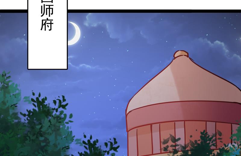 国师的秘密法宝45