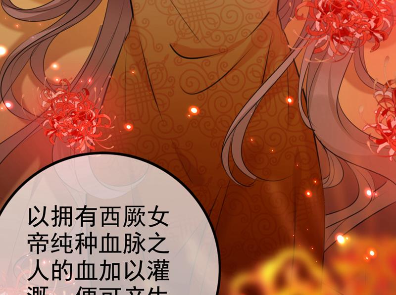 用你的血复活沐心24