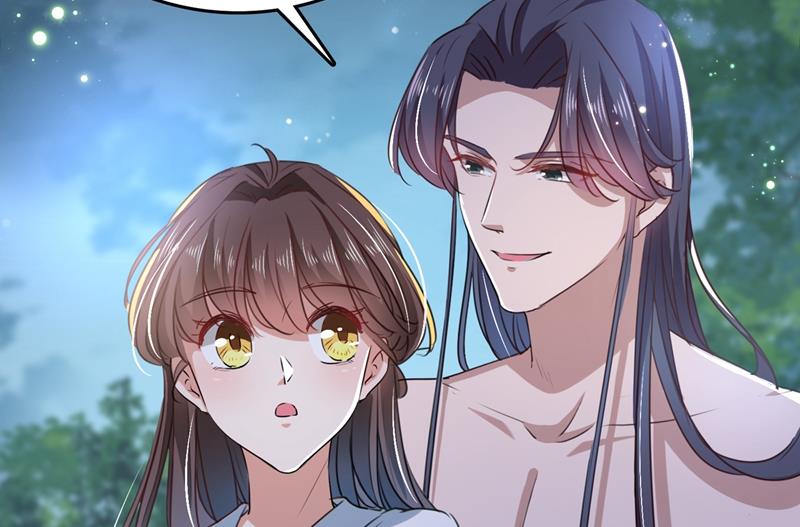 国师的秘密法宝29