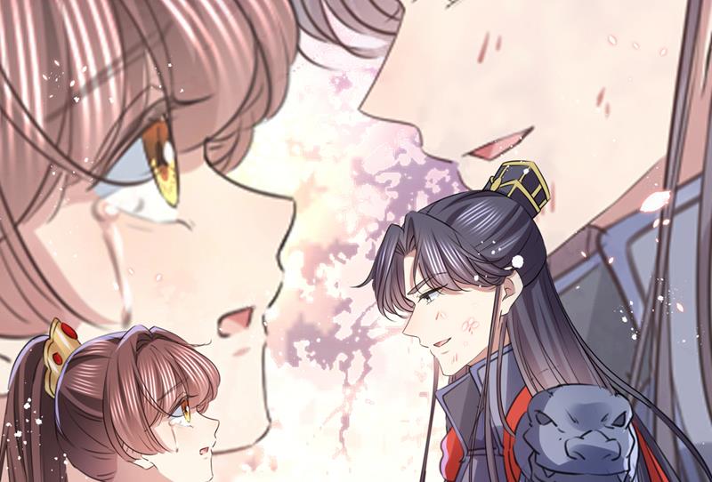完结：许你安稳盛世17