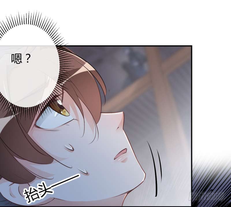 52 可怜的刺客29