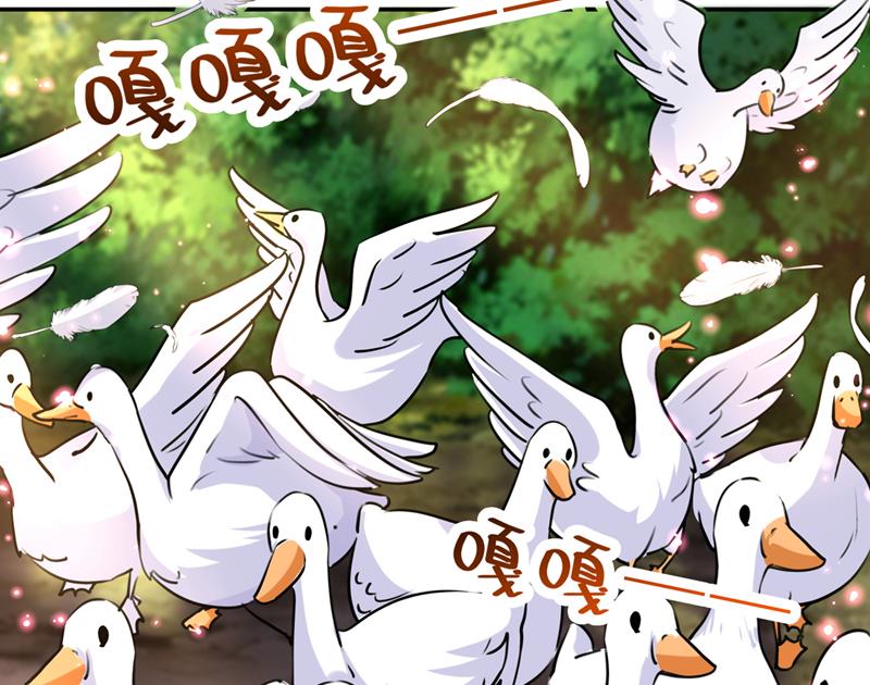 一鼓作气，今日表白25