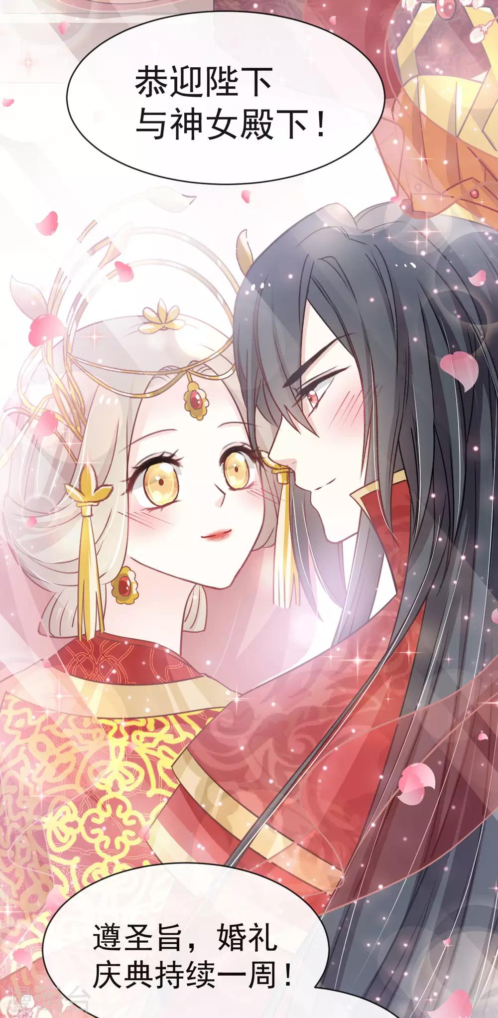第116话 婚礼前夜13