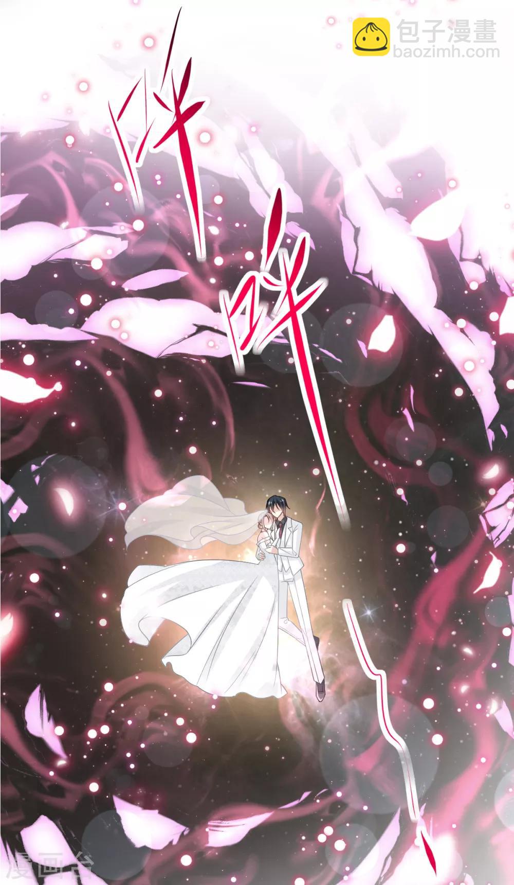 第178话 回到箐国18