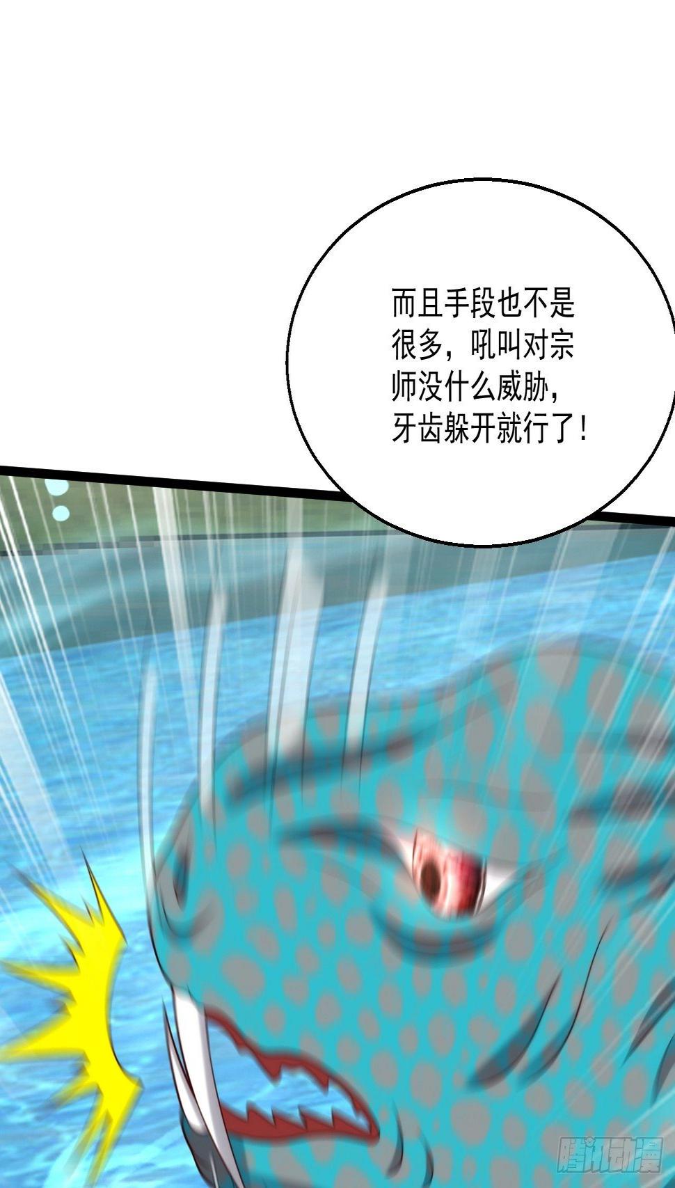 81 阴龙50