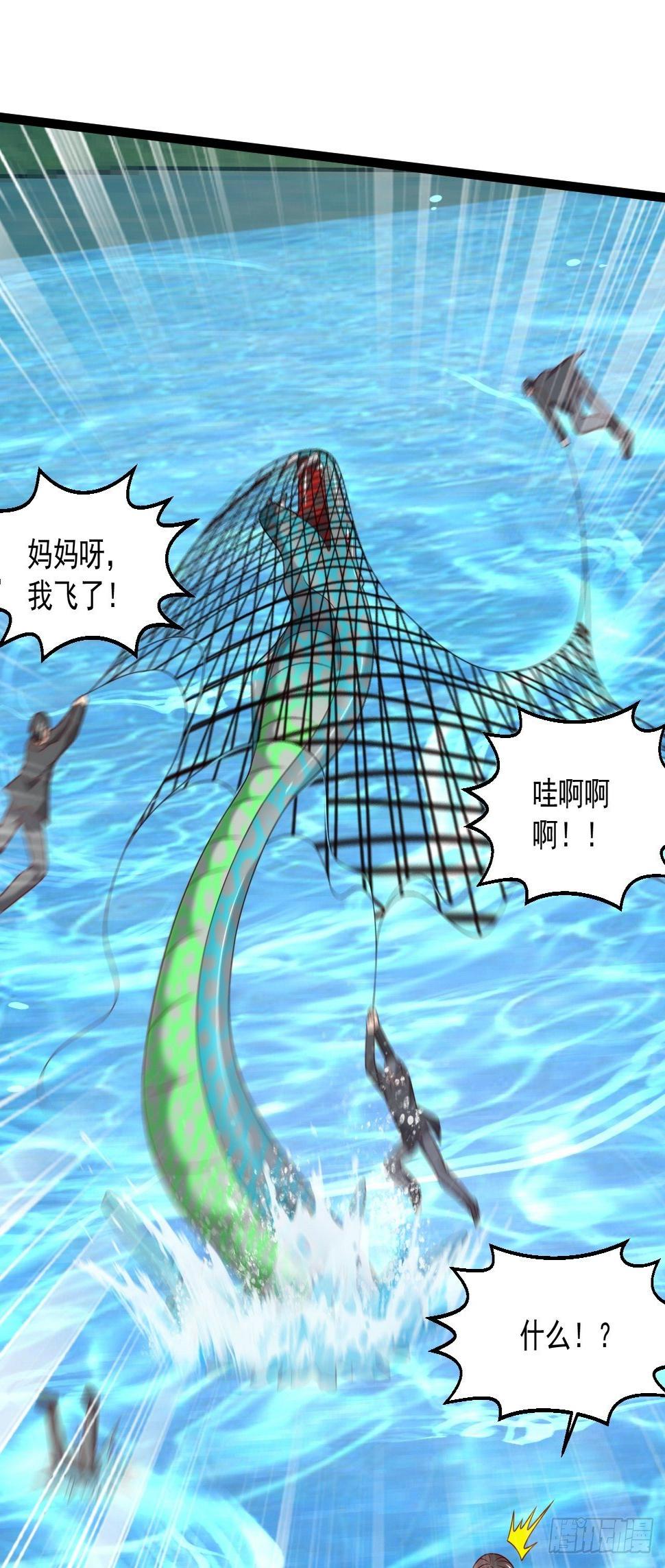 81 阴龙29