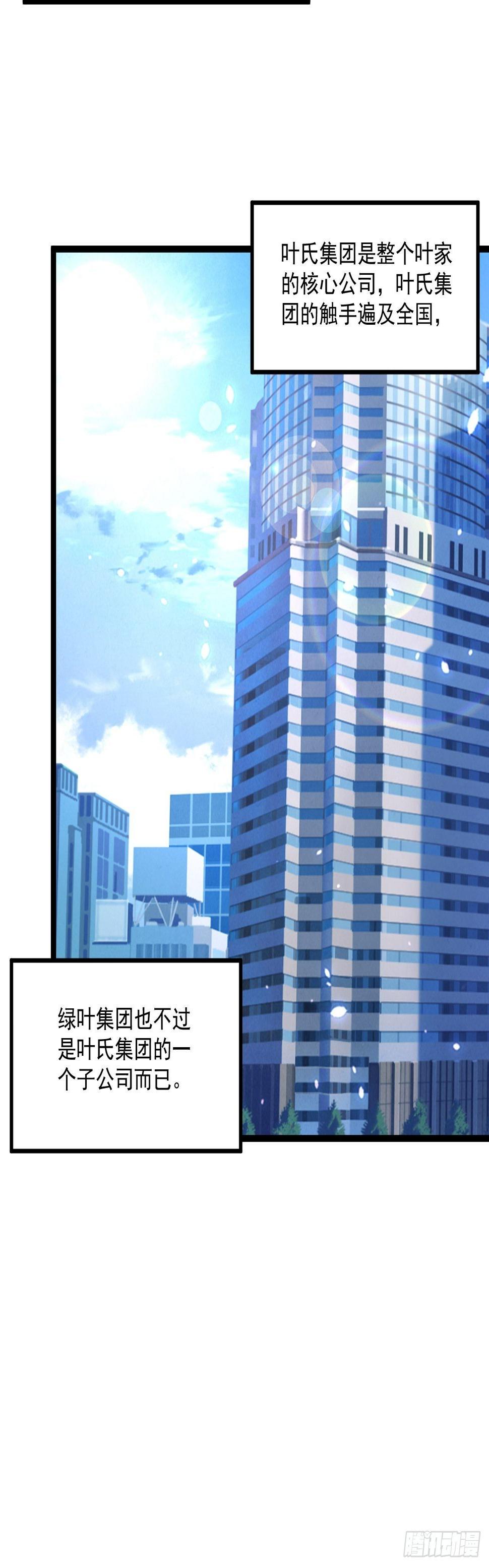 94 叶家的危机40