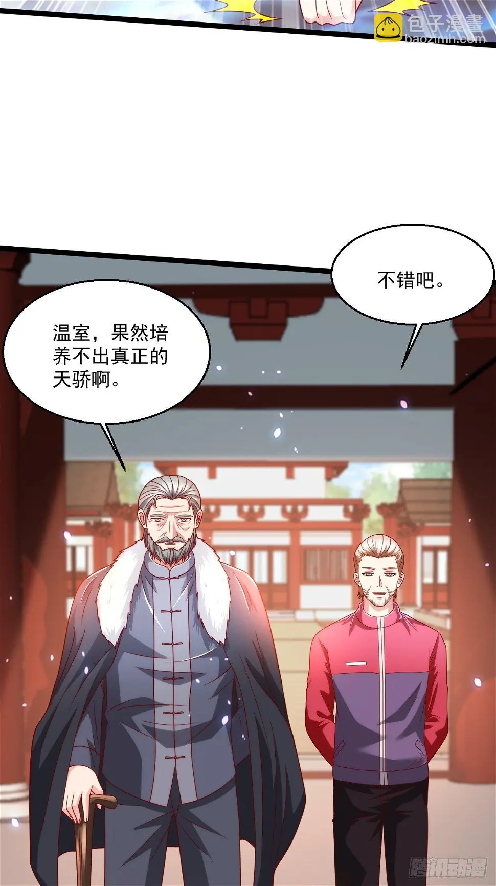 70 叶家继承人22