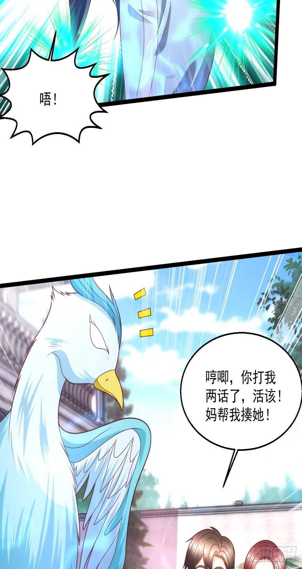 114 青凤灵纹30
