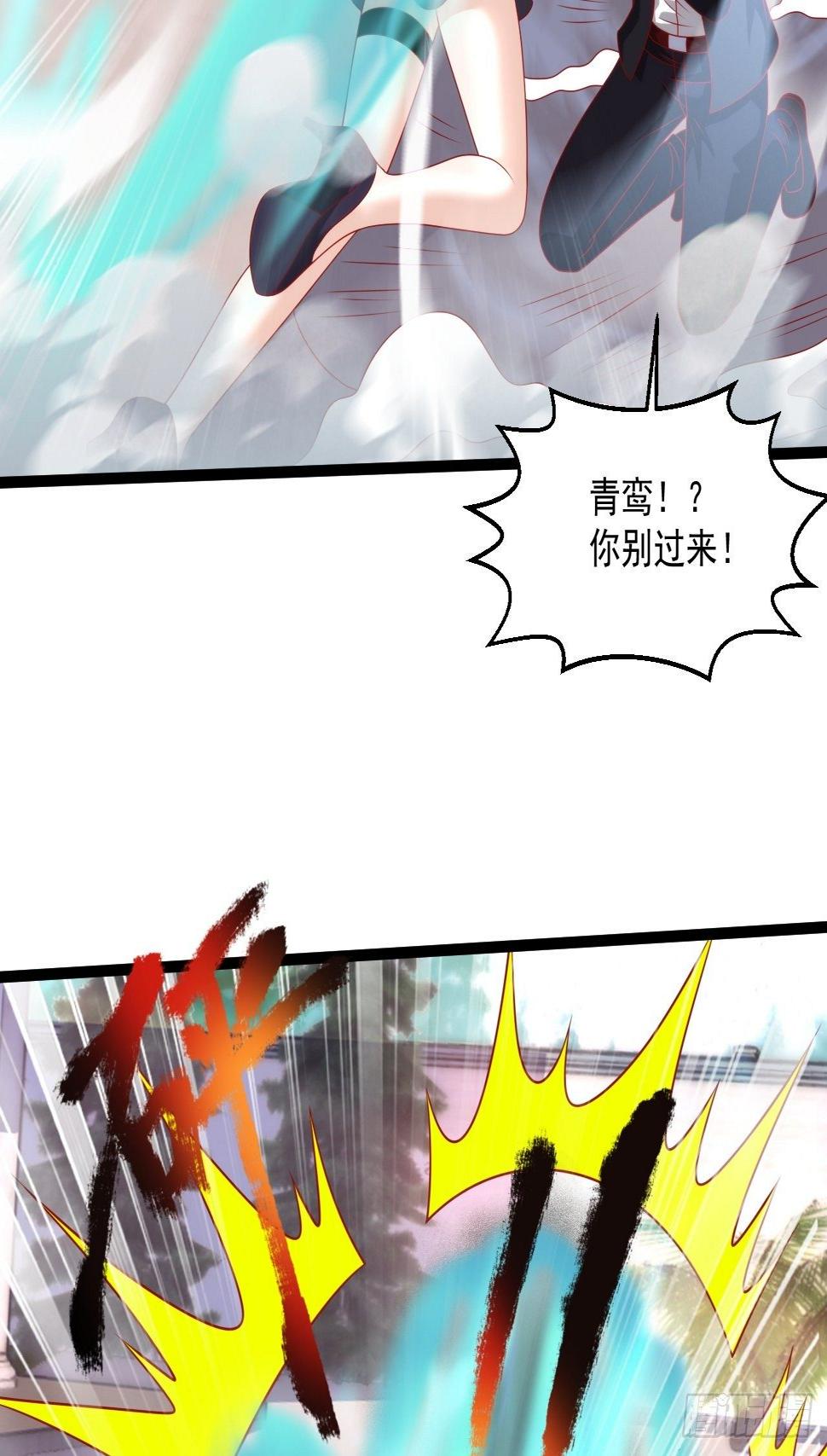 114 青凤灵纹6