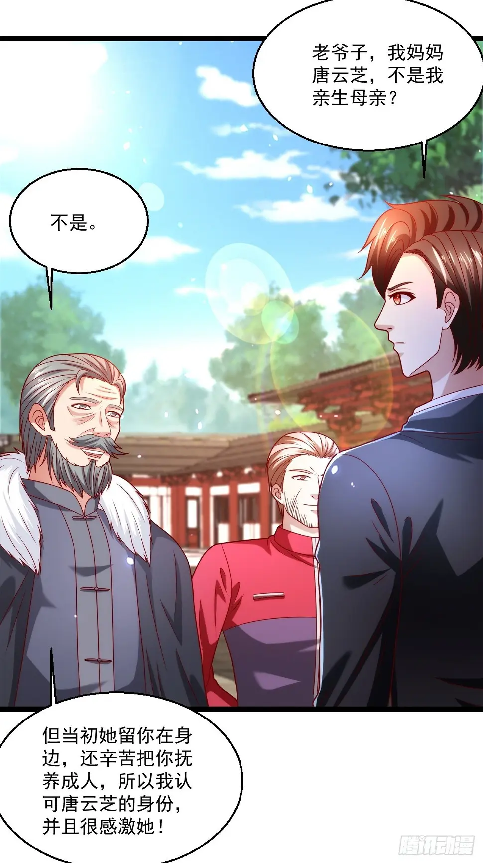 70 叶家继承人34