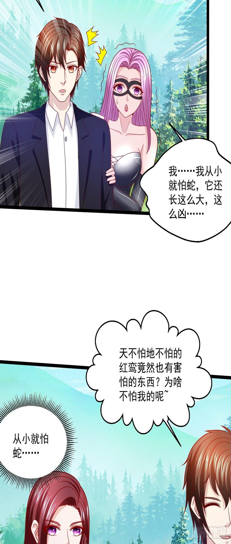 81 阴龙33