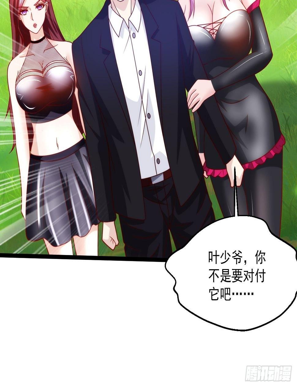 81 阴龙22