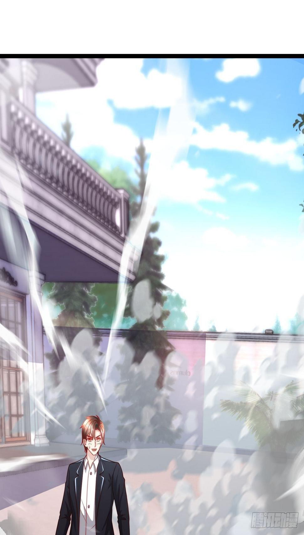 114 青凤灵纹19