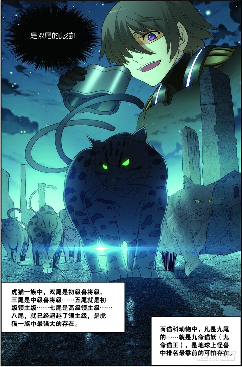 第二十四话（上):双尾虎猫7