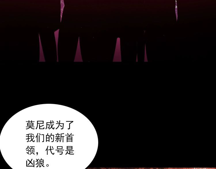 第99话 影獾28