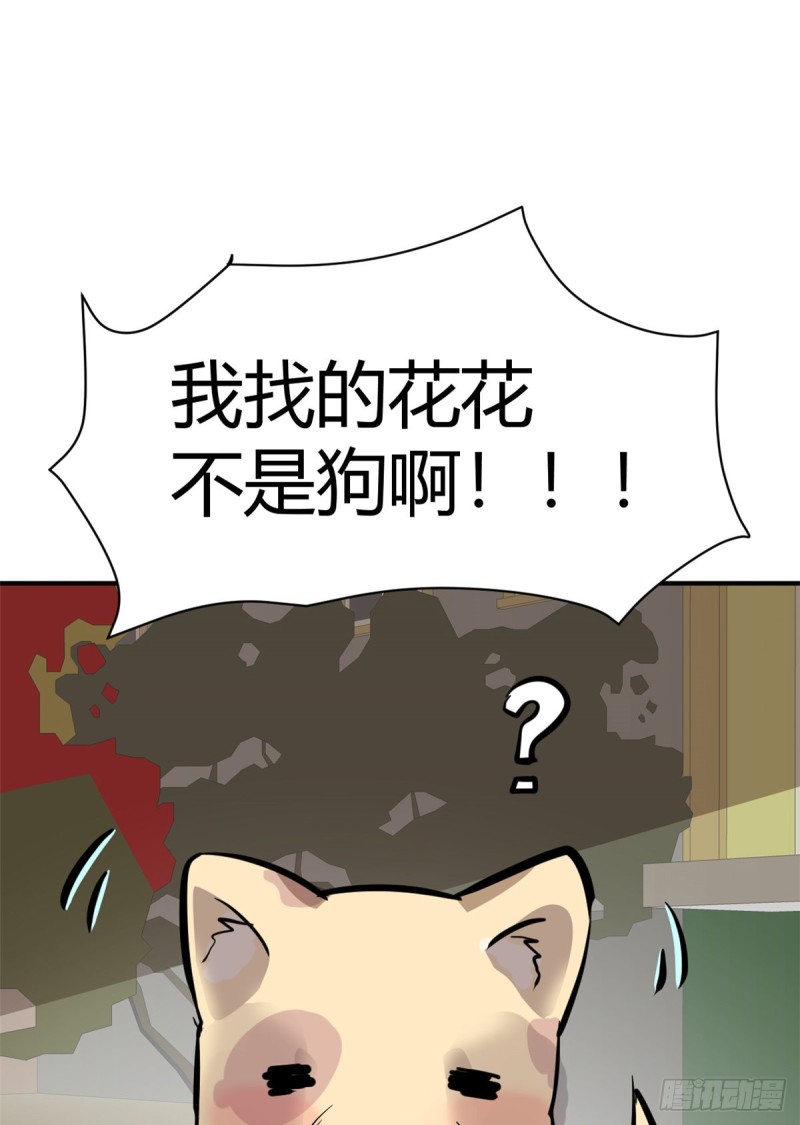 56 这就是花花啊43