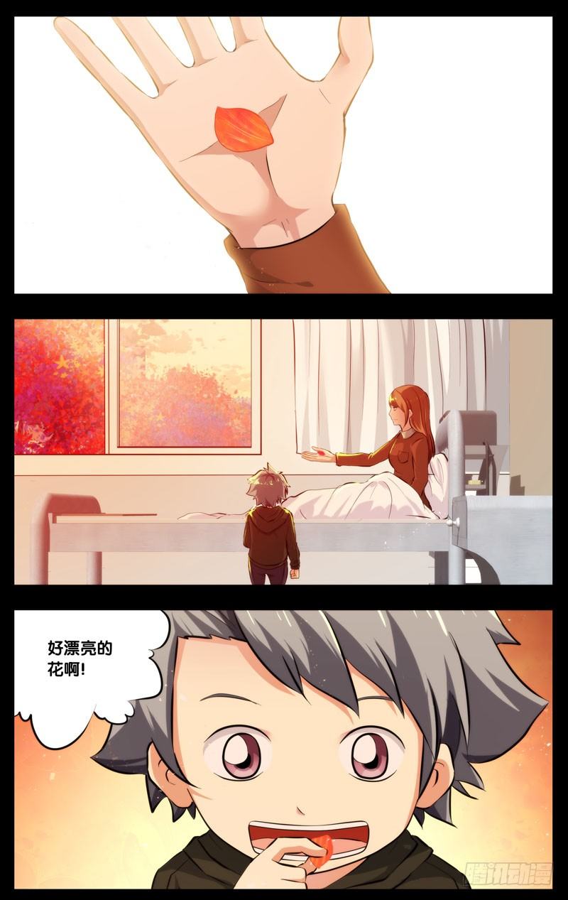 66.一片花瓣10