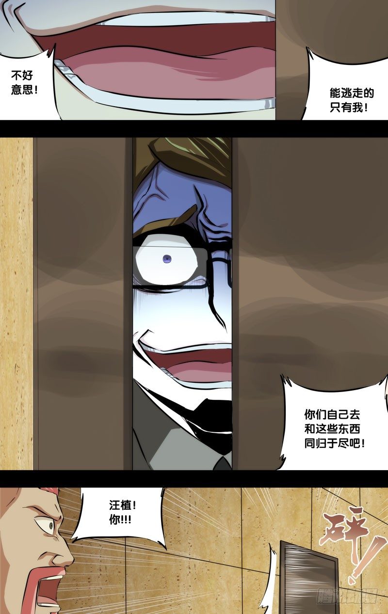 113.祸害5