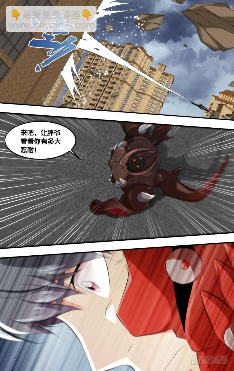 155.形态二7