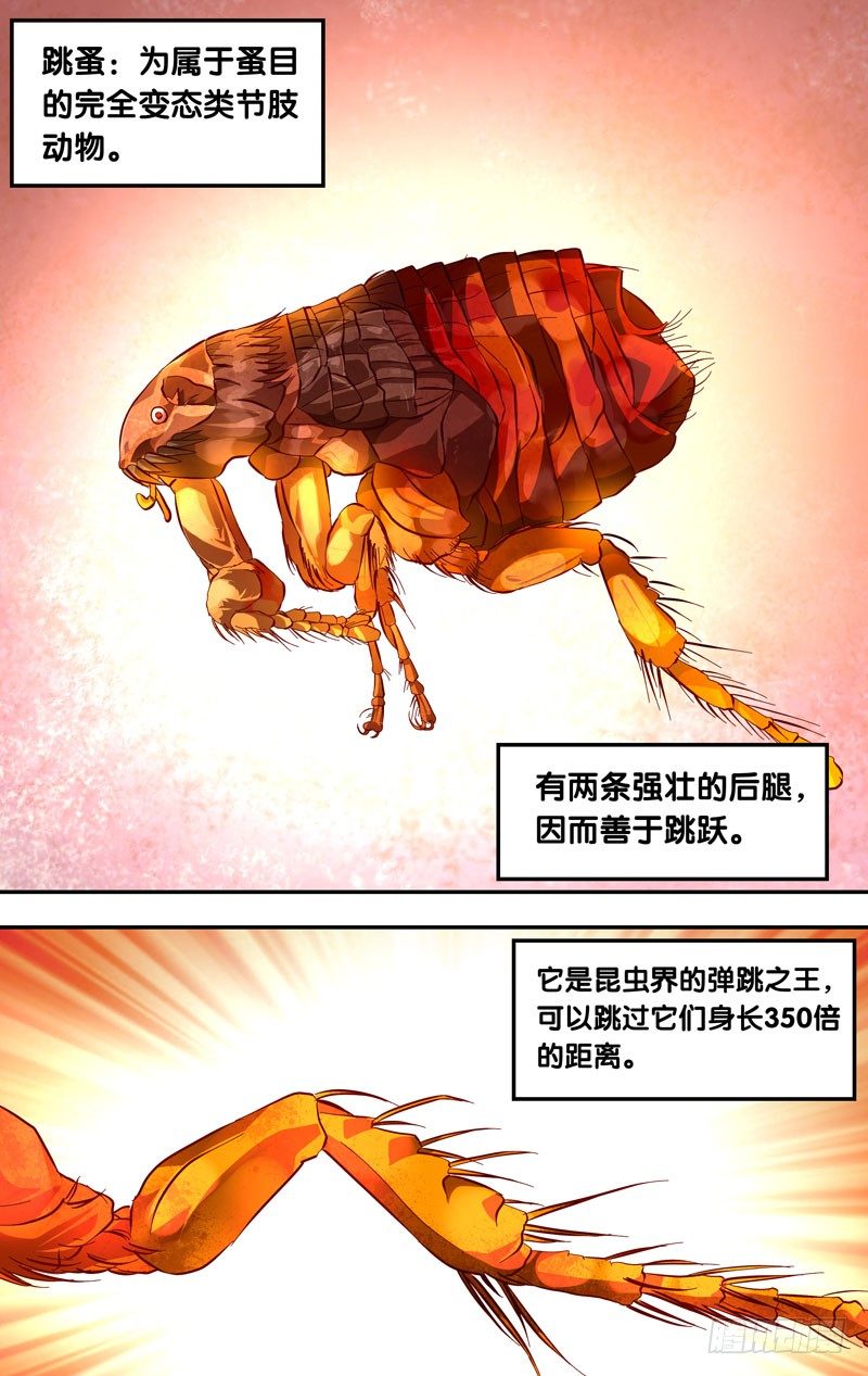 17.辗压4