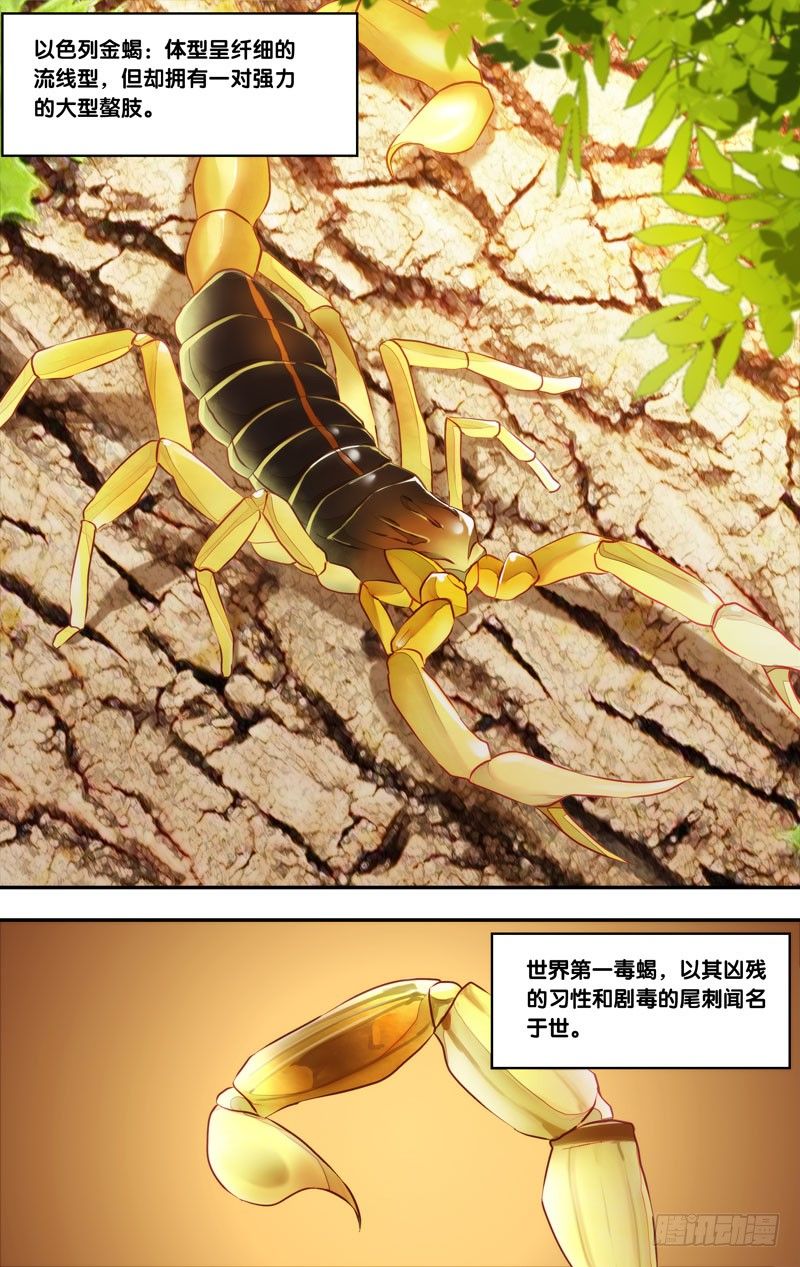 78.游戏结束6