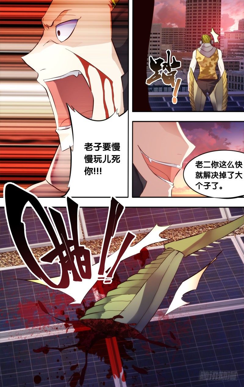 3.蝗12