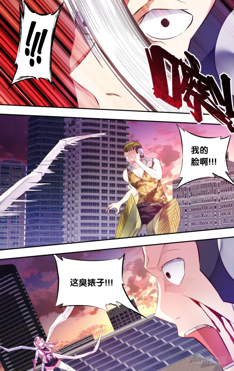 3.蝗11