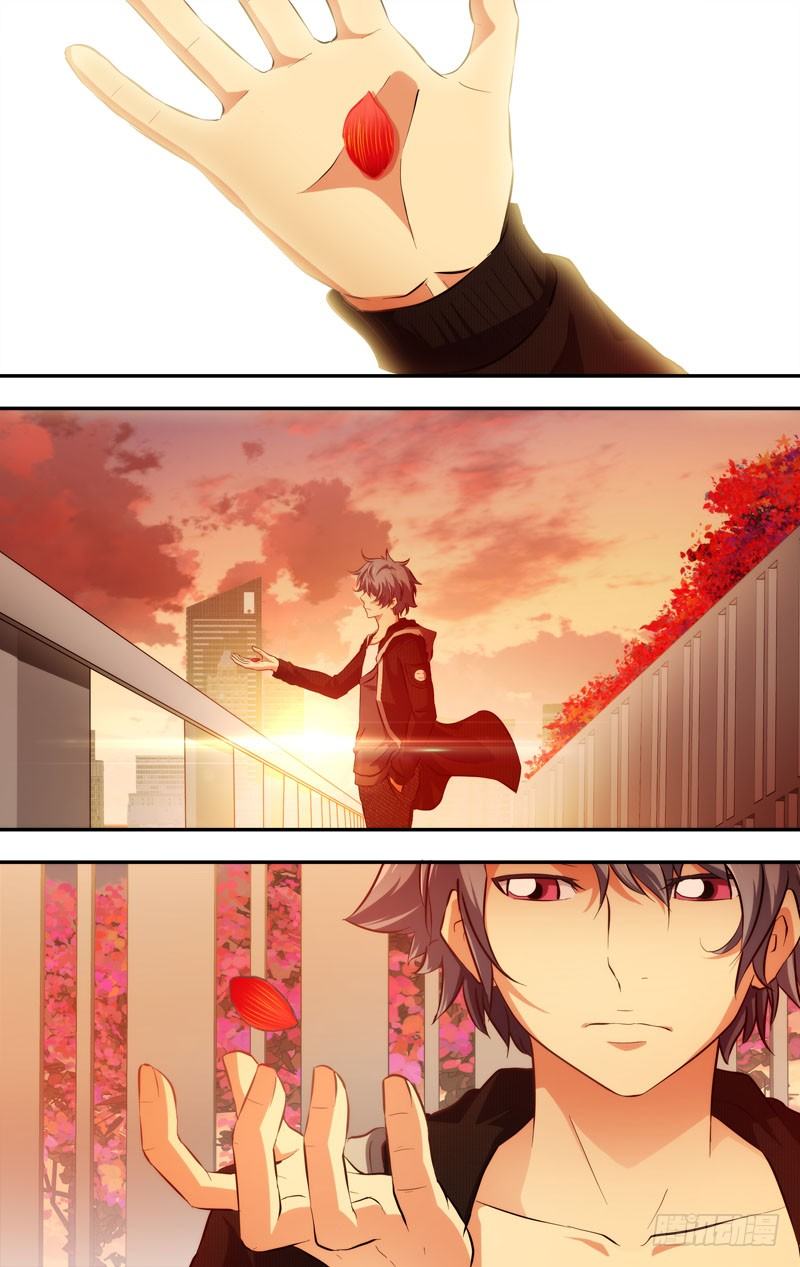 66.一片花瓣8