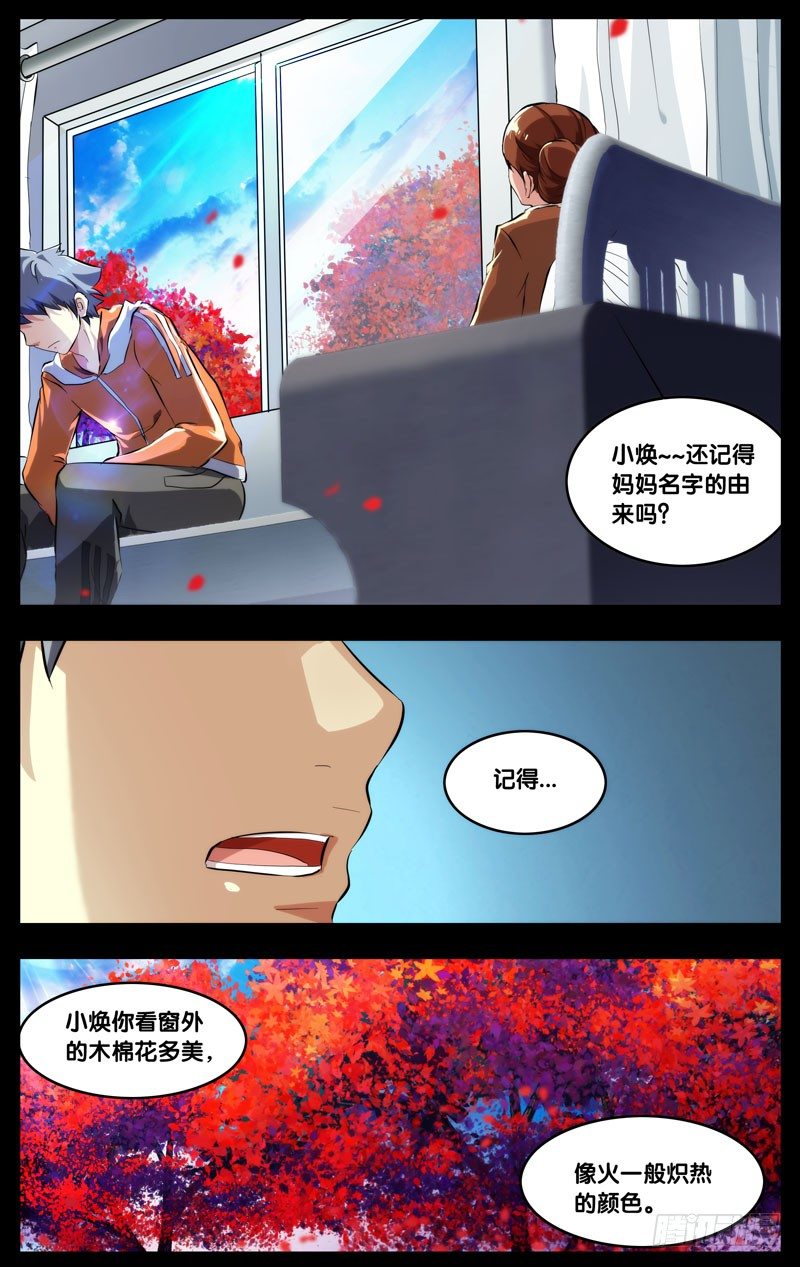 67.木棉3