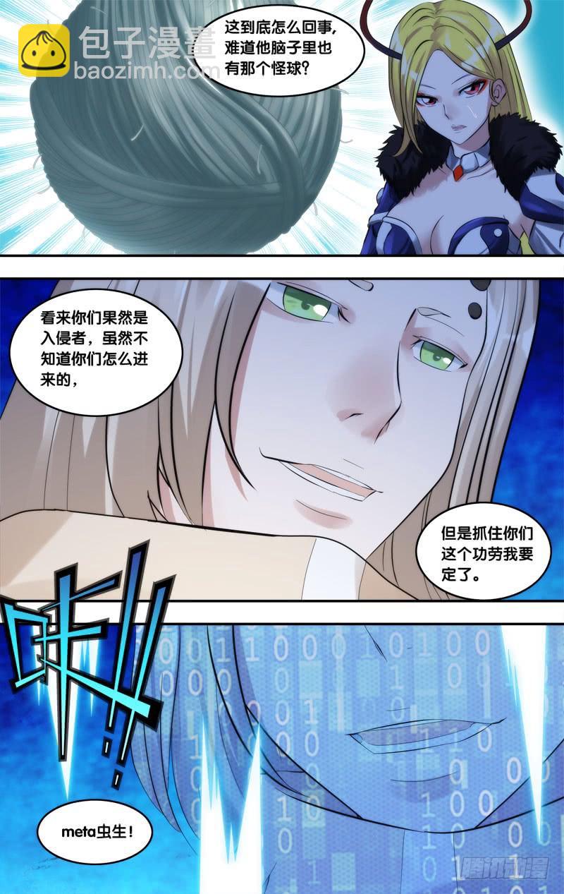 221.蜘蛛7