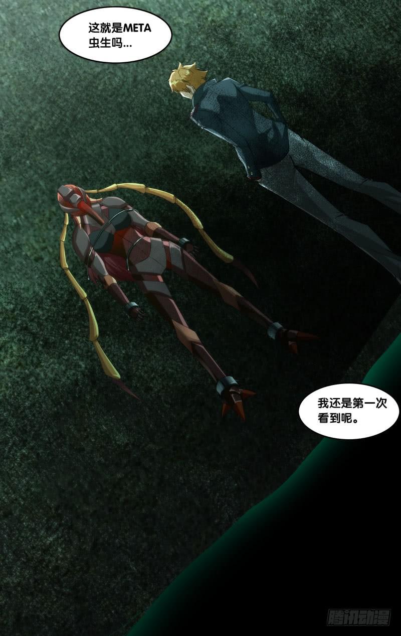 268.陈川的计划8
