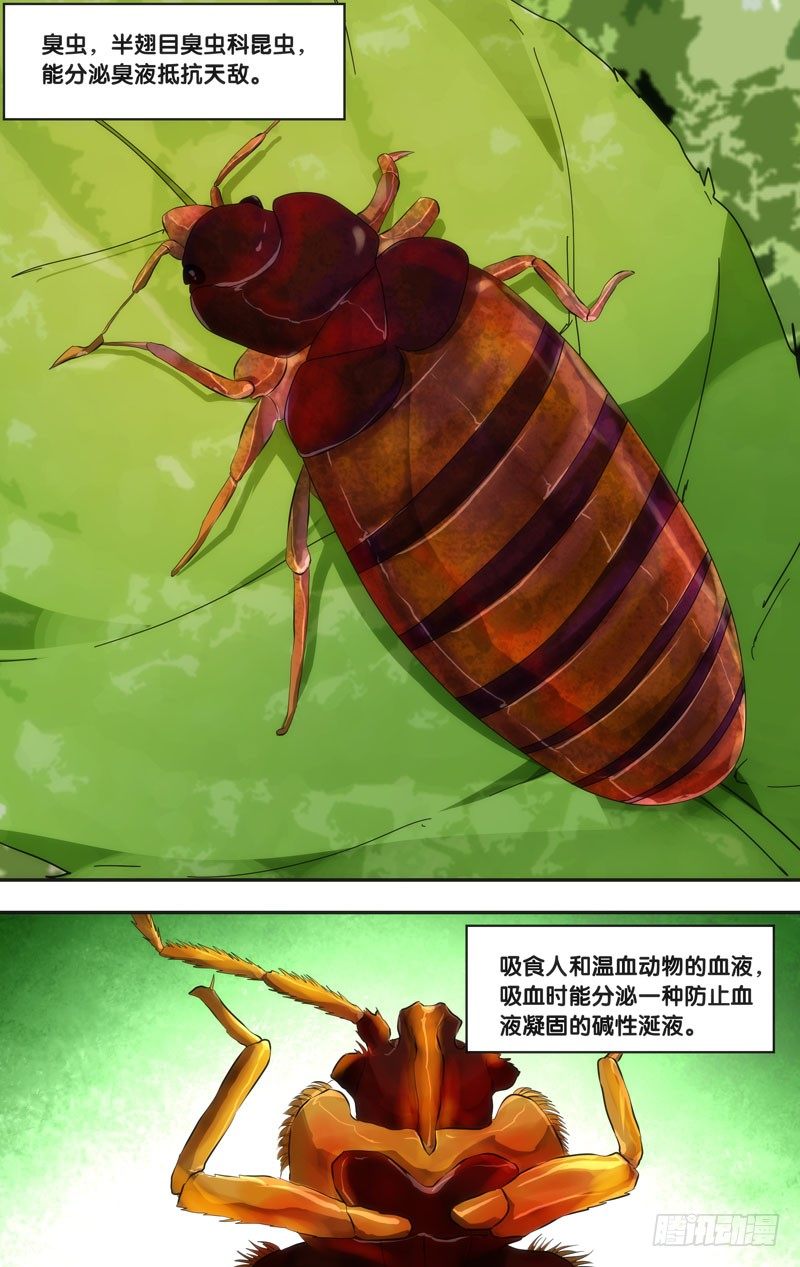 49.胜负9
