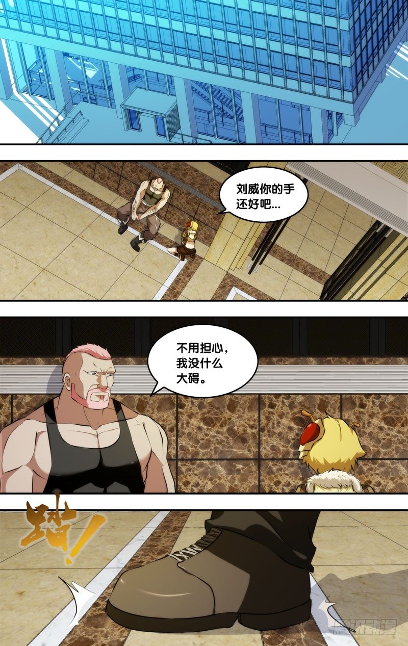 89.分裂11