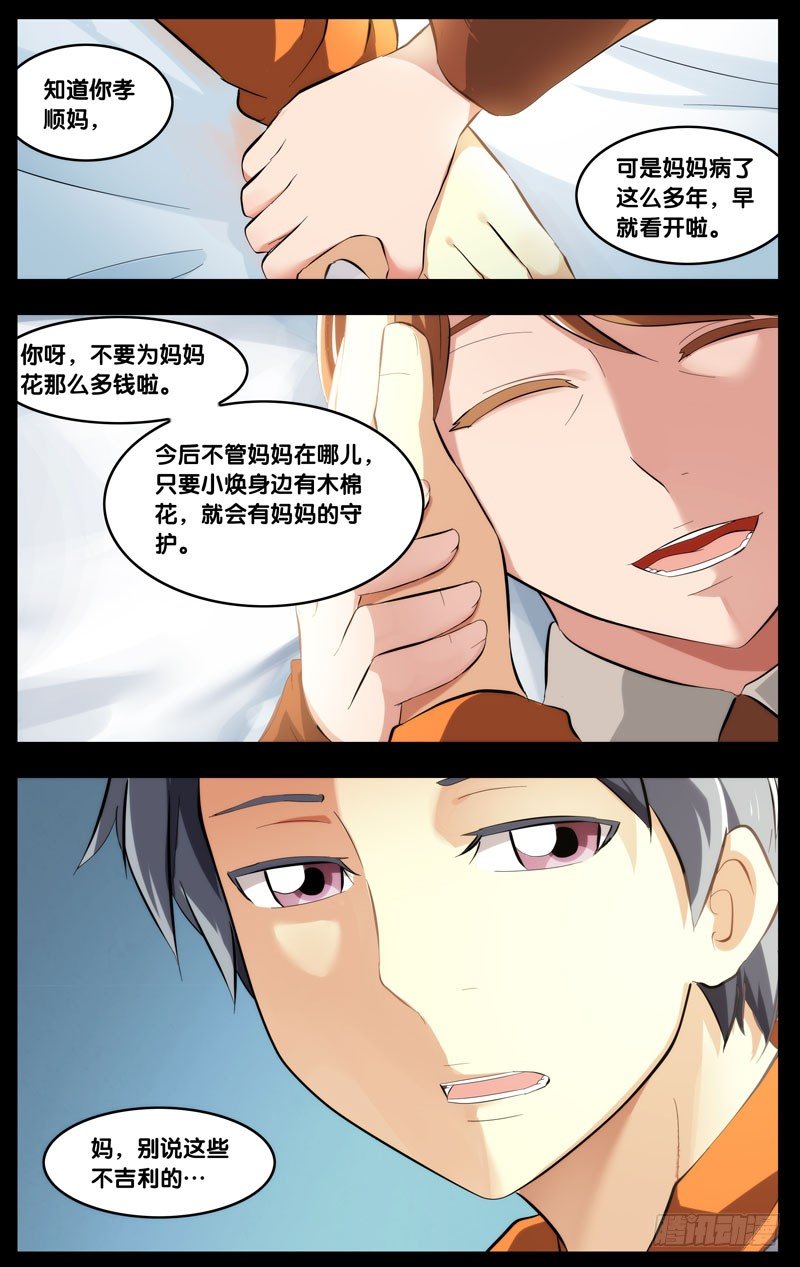 67.木棉4