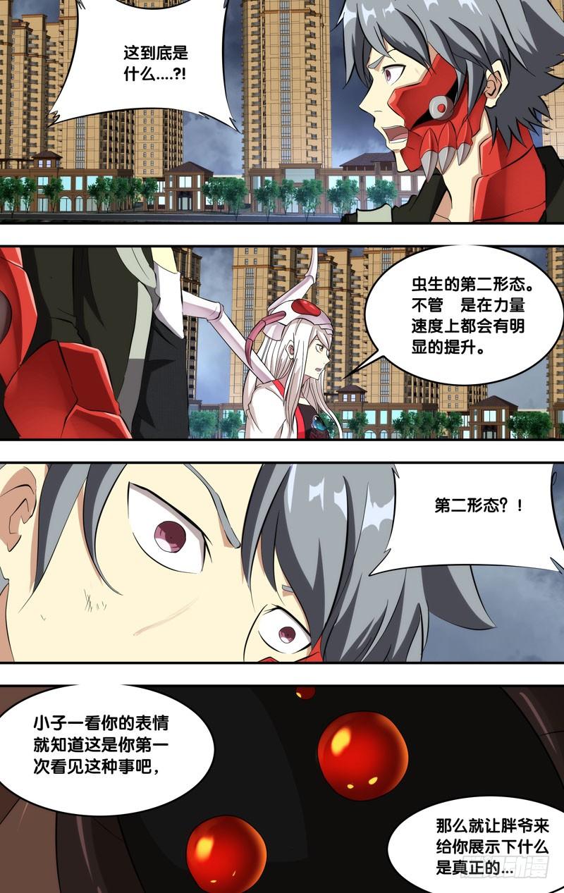155.形态二4