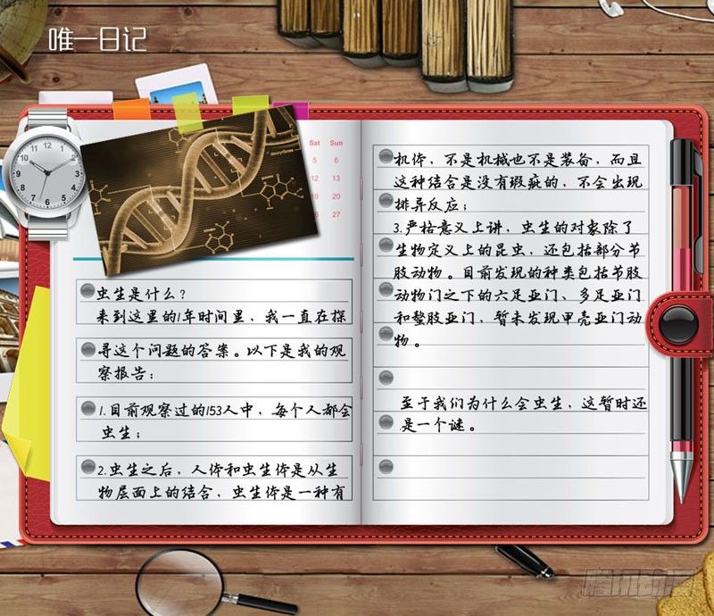 32.变脸11