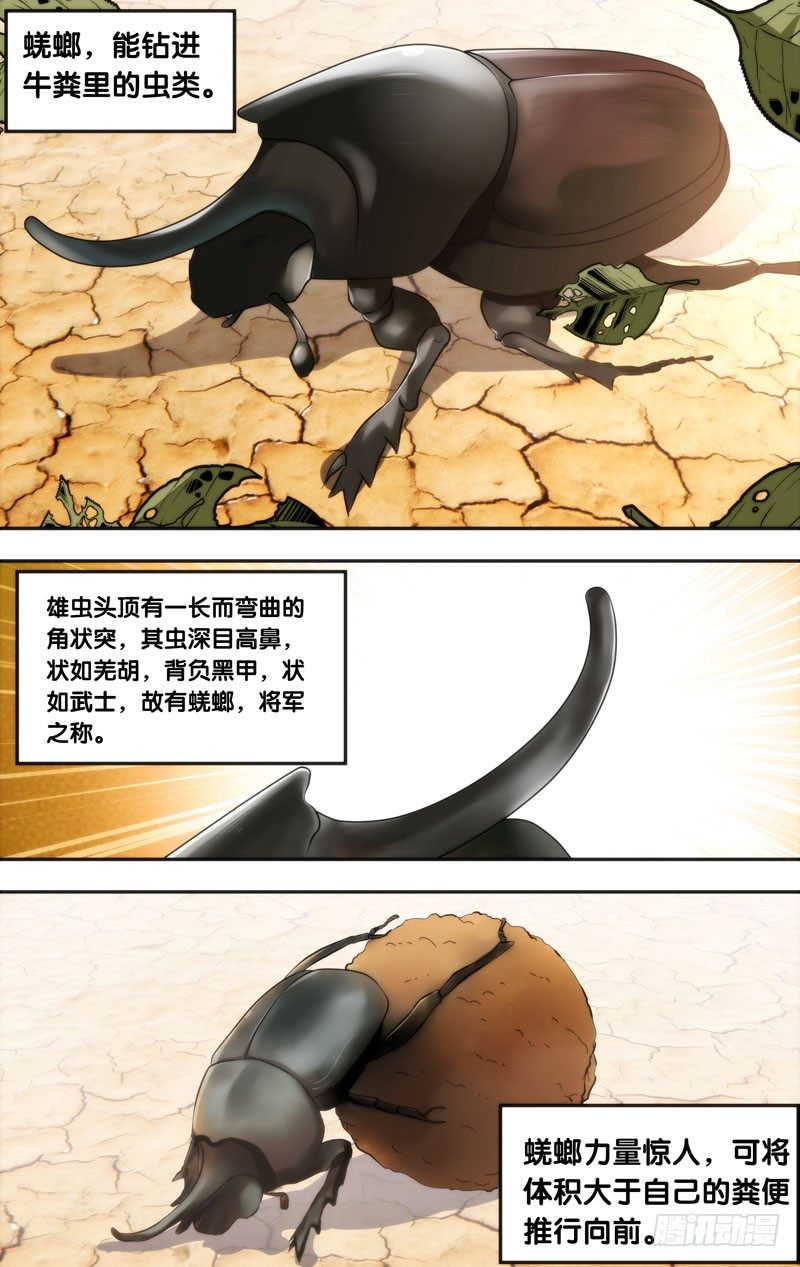 12.蜣螂0