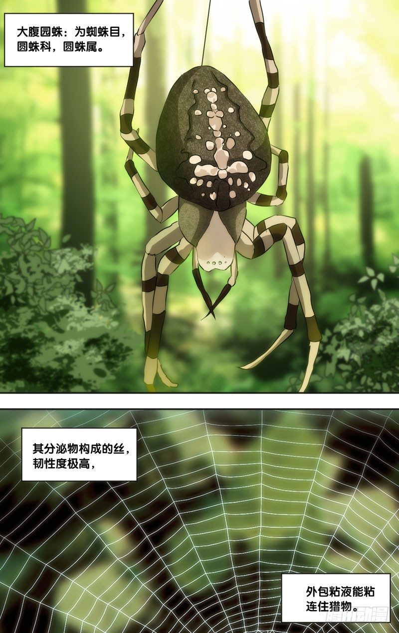 44.蛛5