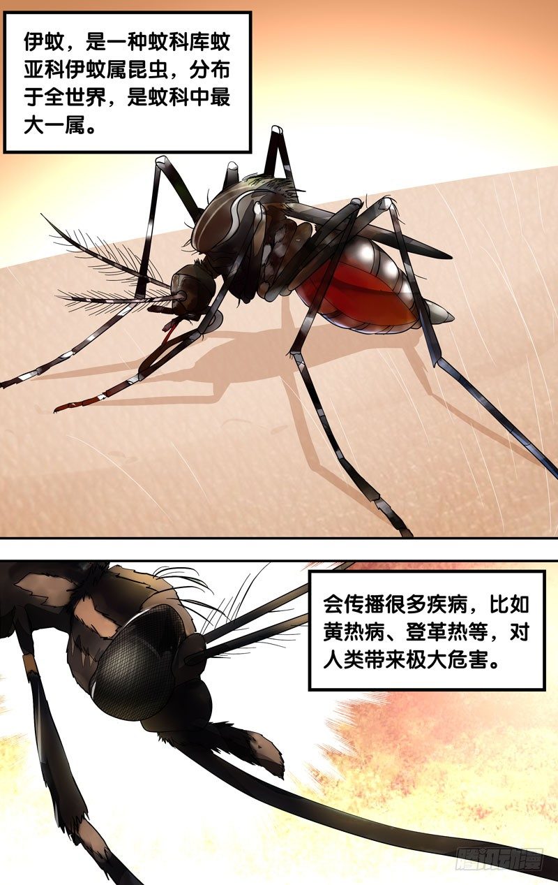 14.伊蚊5