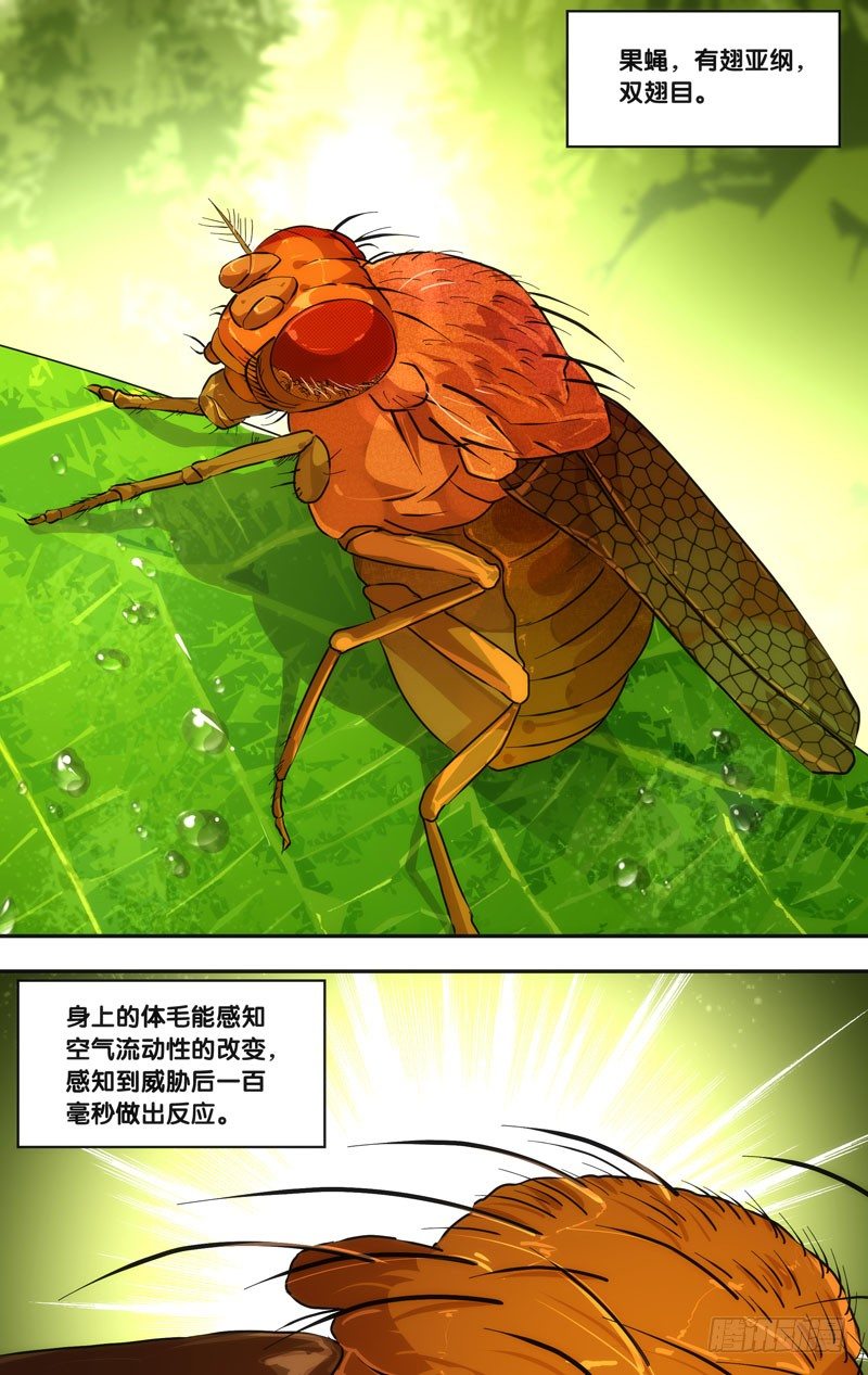 46.追击10