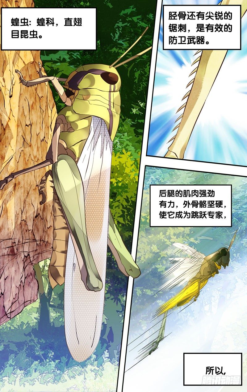 3.蝗1