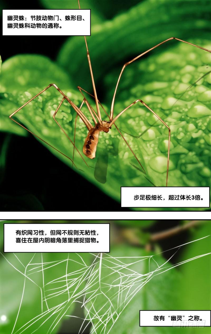 145.幽灵蛛3