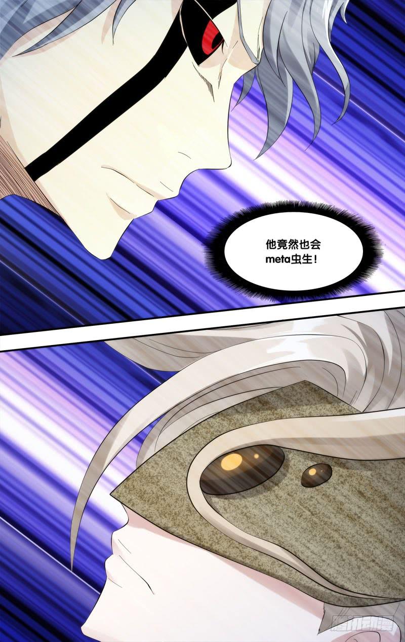 221.蜘蛛9