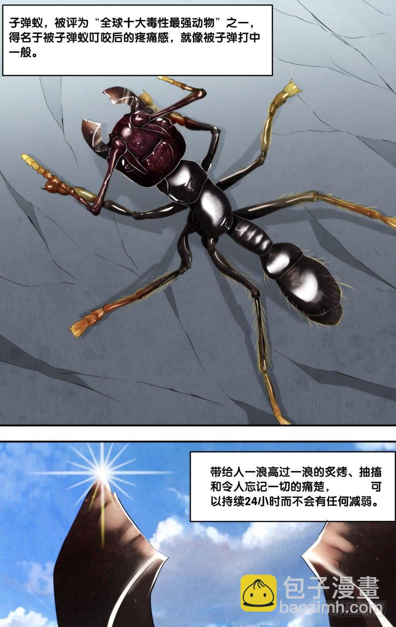 170.独角仙7
