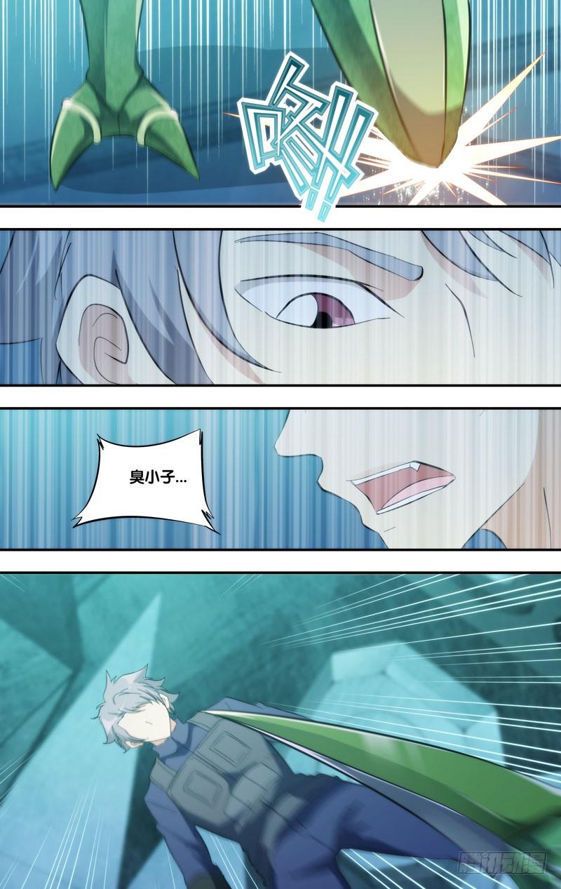 282.摊牌7