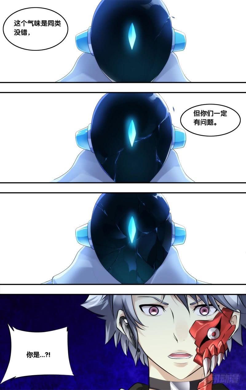 221.蜘蛛3