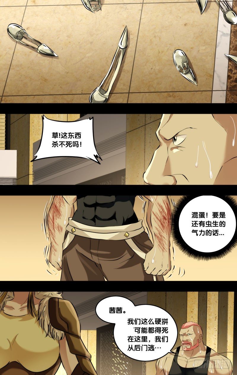 113.祸害4