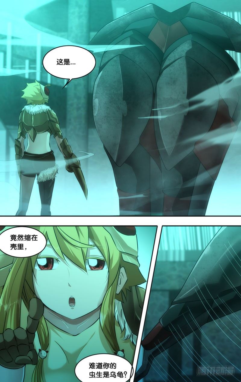 47.果蝇VS独角仙6